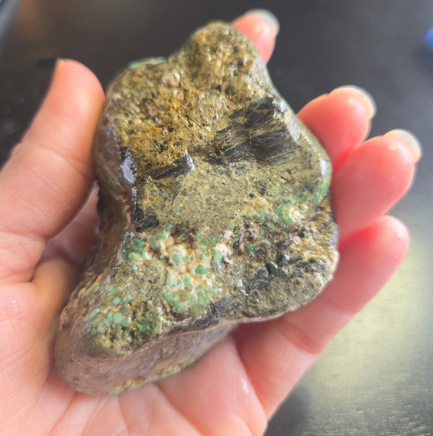 Blue Boy Variscite/Turquoise rough for cabbing - Natural Nevada Variscite - 224 gram lot 5