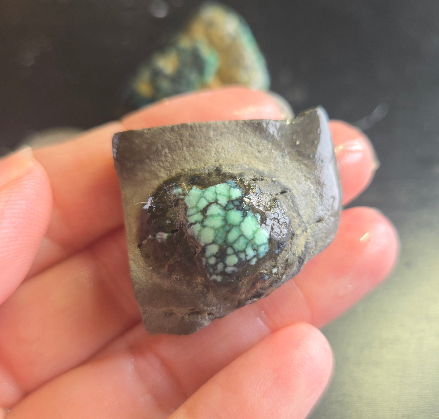 Blue Boy Variscite/Turquoise rough for cabbing - Natural Nevada Variscite - 224 gram lot 5