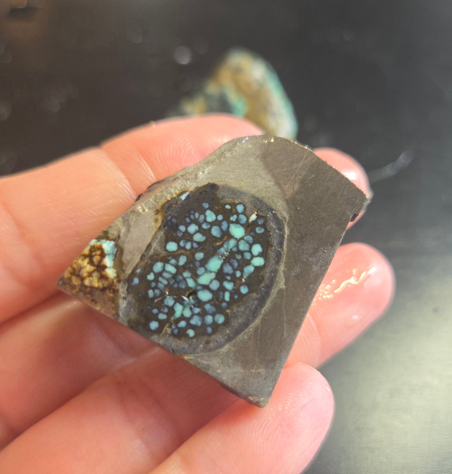 Blue Boy Variscite/Turquoise rough for cabbing - Natural Nevada Variscite - 224 gram lot 5