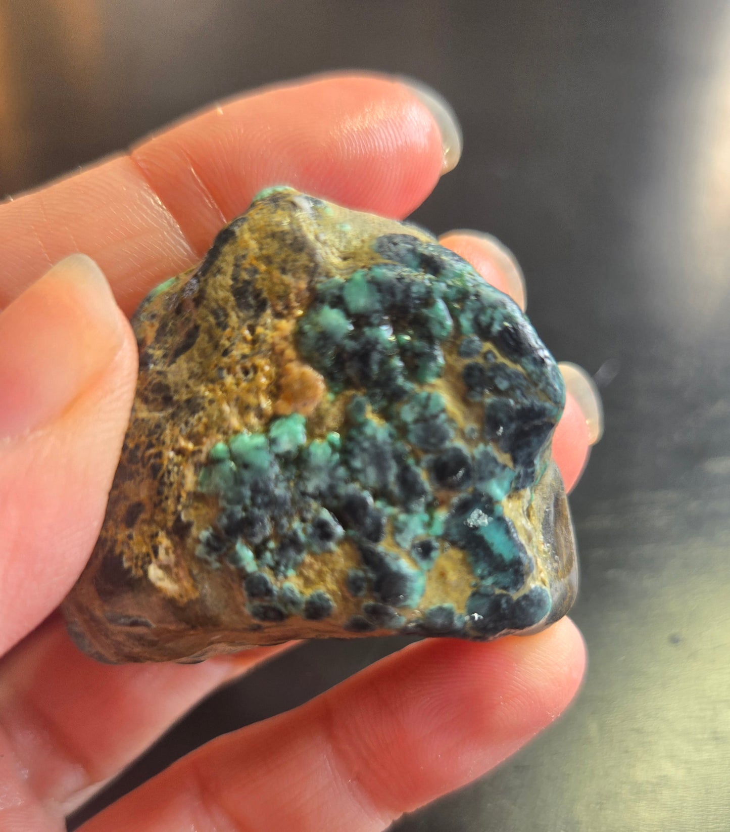 Blue Boy Variscite/Turquoise rough for cabbing - Natural Nevada Variscite - 224 gram lot 5