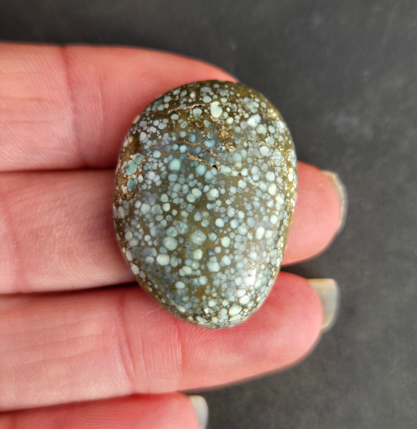 Blue Boy Variscite Cabochon
