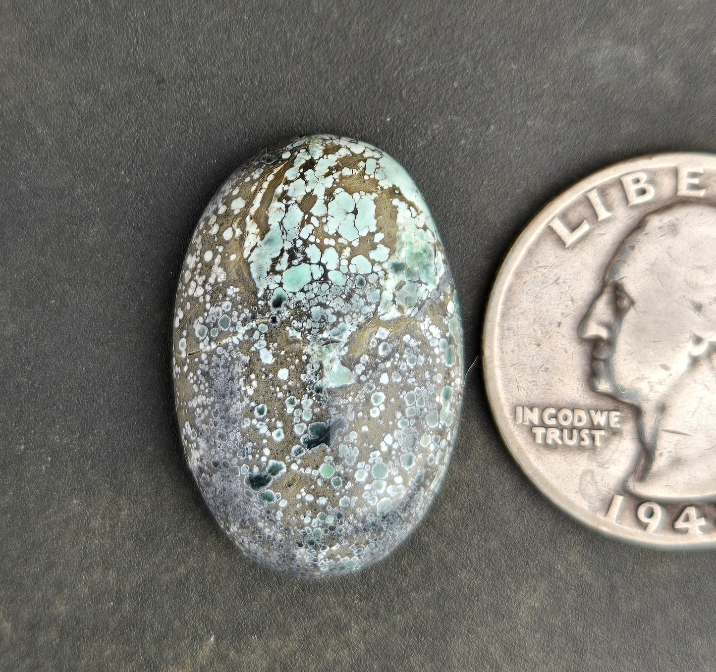 Turtleback Variscite Cabochon