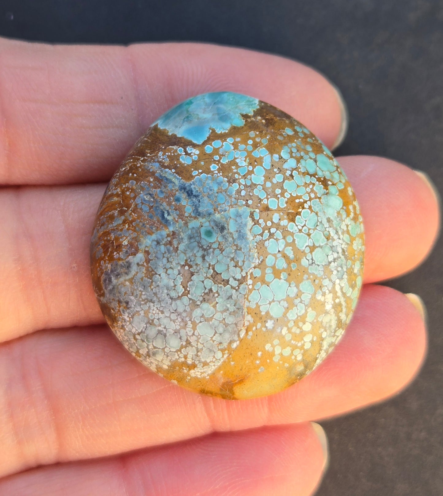 Turtleback Variscite Cabochon