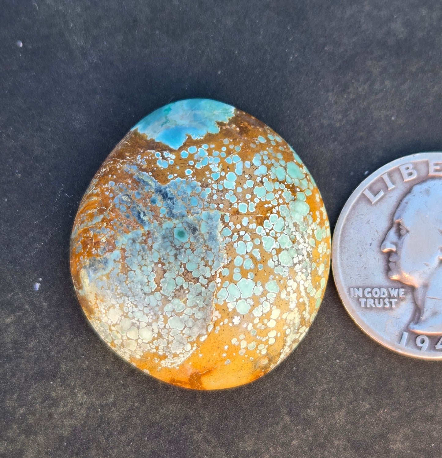 Turtleback Variscite Cabochon