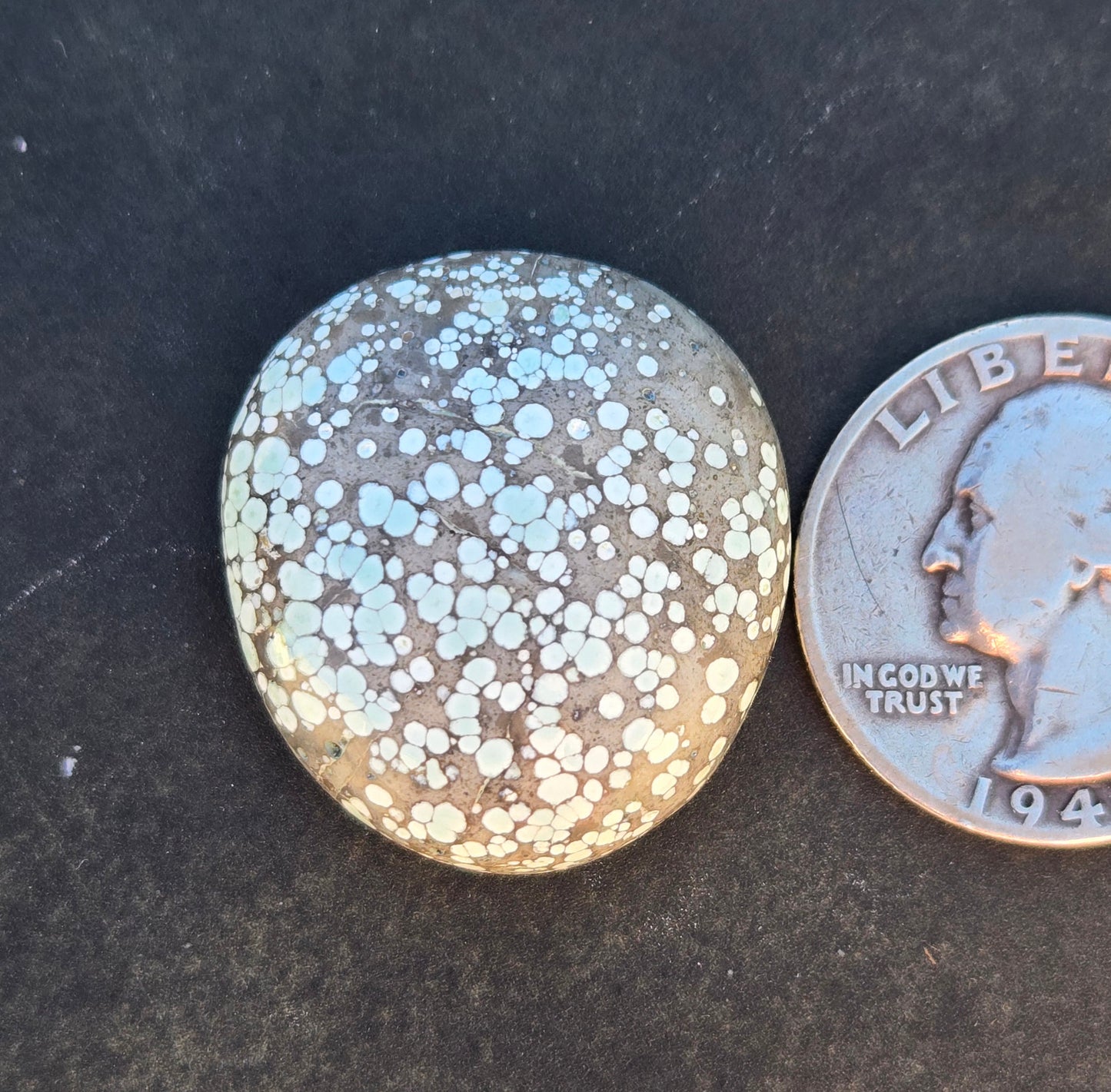 Turtleback Variscite Cabochon