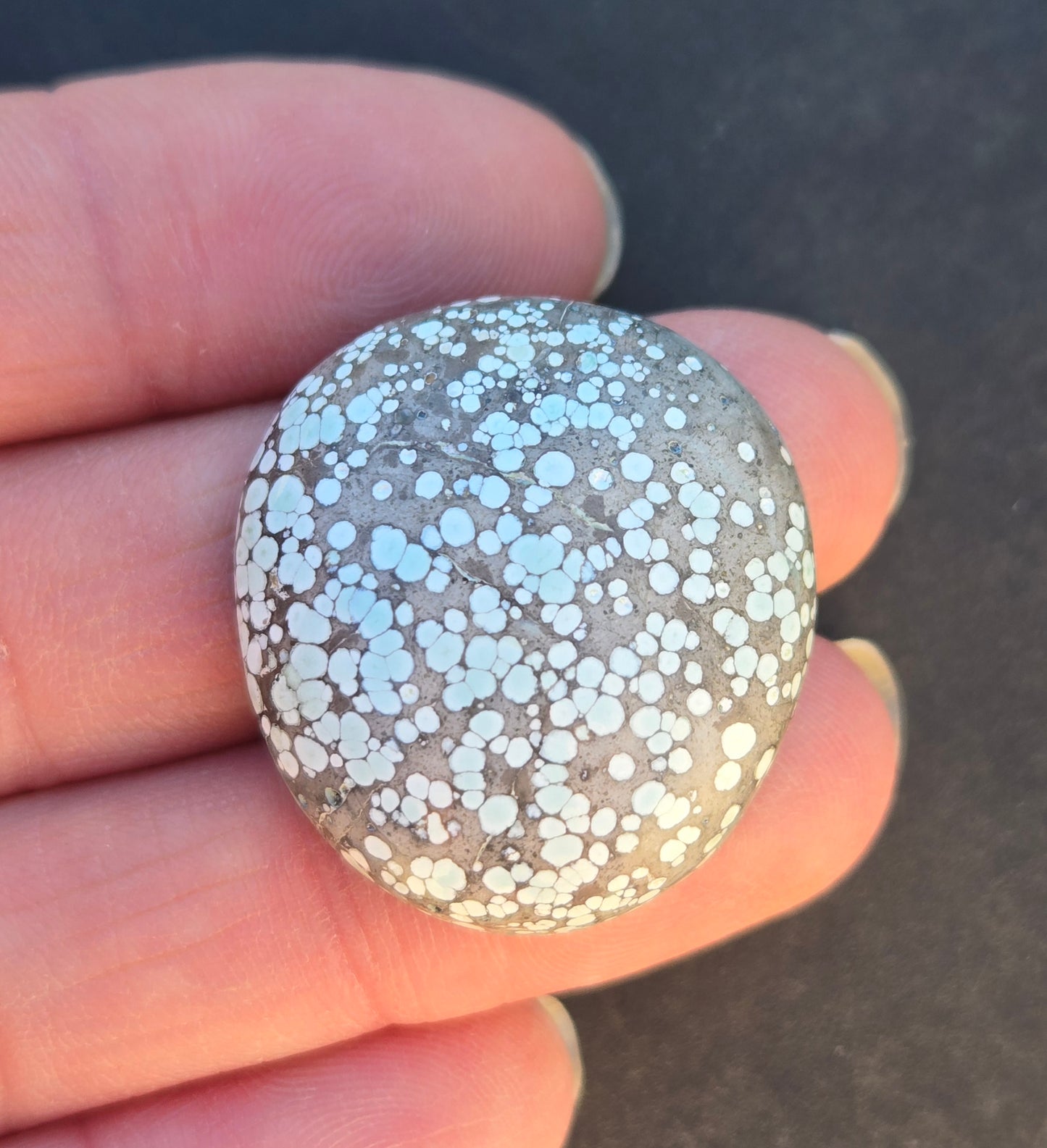 Turtleback Variscite Cabochon