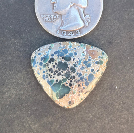 Turtleback Variscite Cabochon