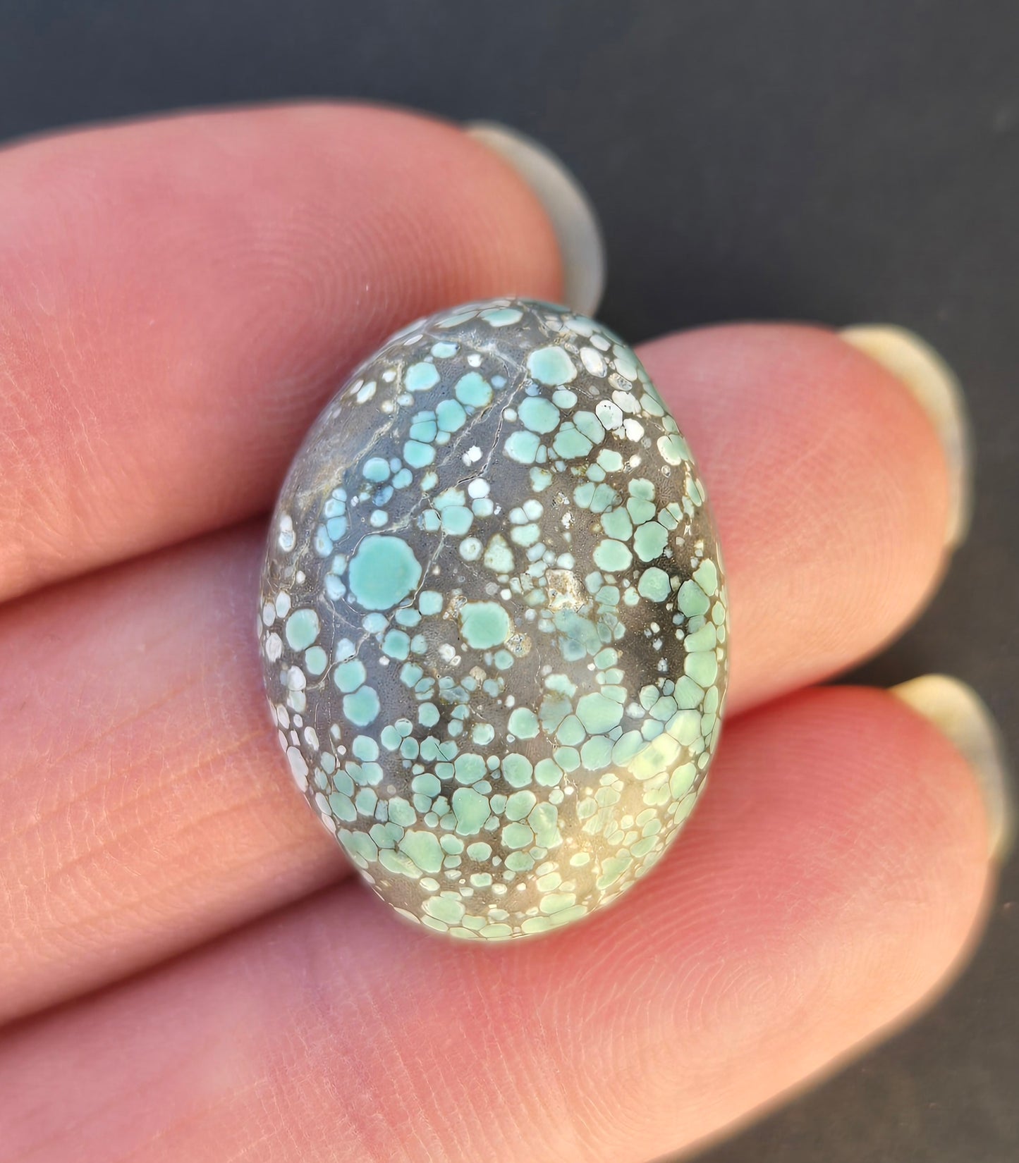 Turtleback Variscite Cabochon