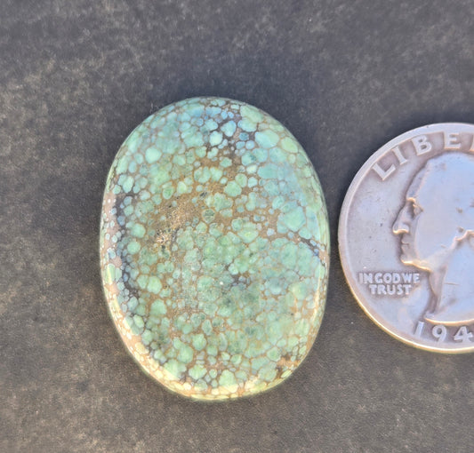 Turtleback Variscite Cabochon