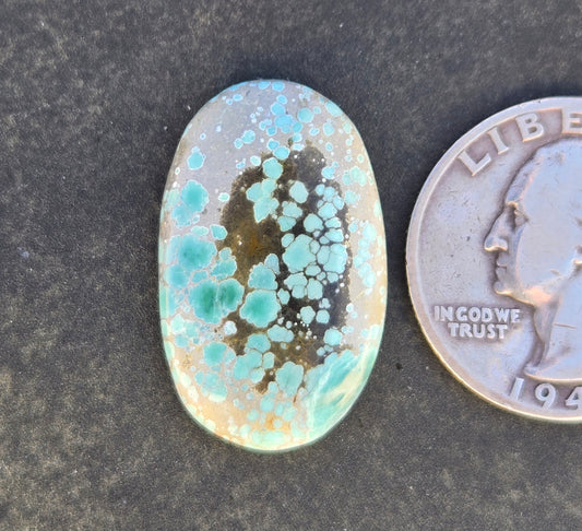Turtleback Variscite Cabochon
