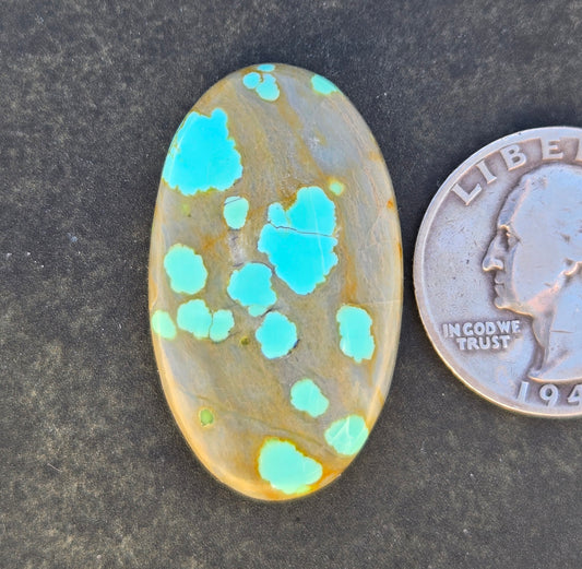 Number 8 Mine Turquoise Cabochon