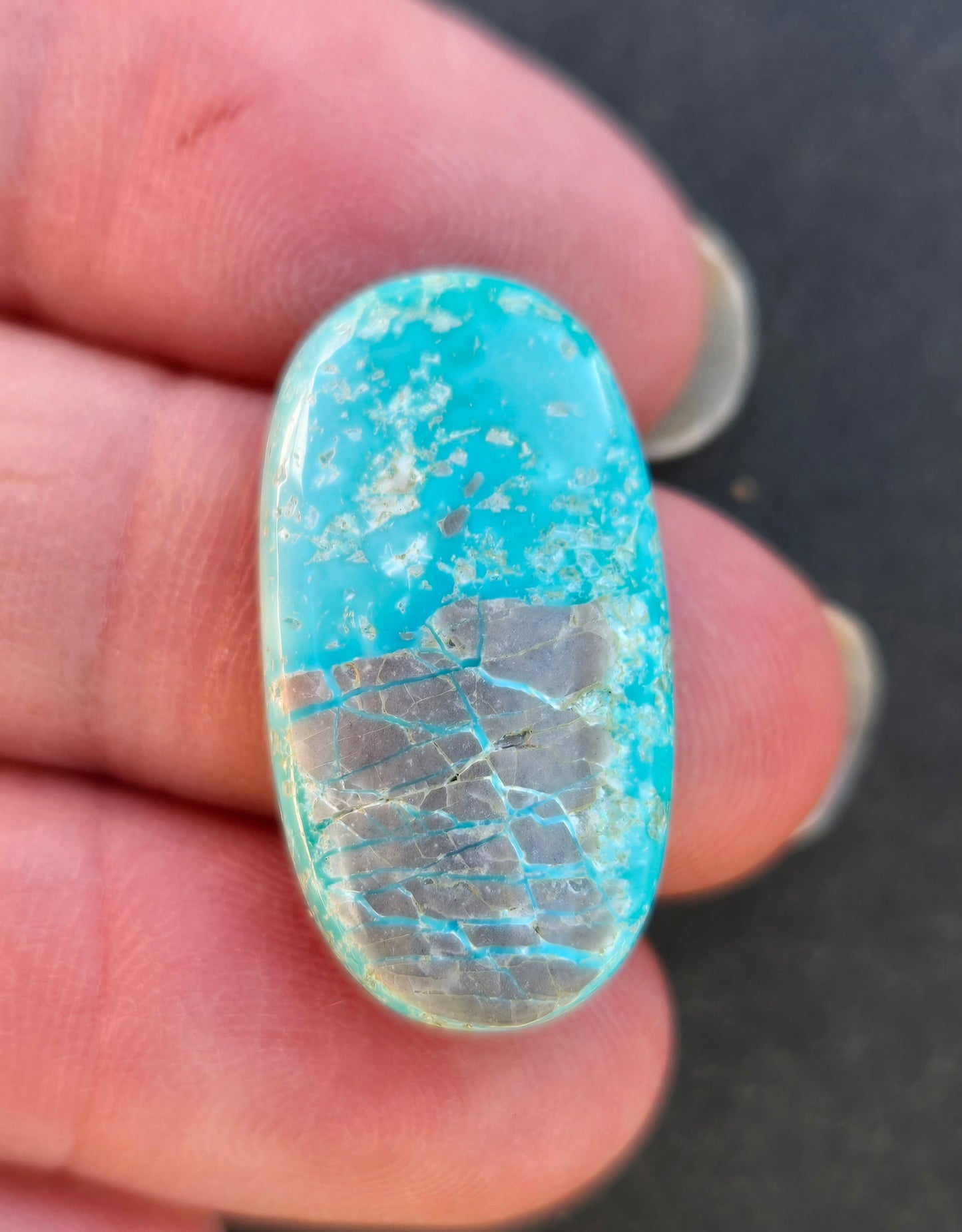 Fox Mine Turquoise Cabochon