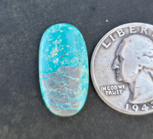 Fox Mine Turquoise Cabochon