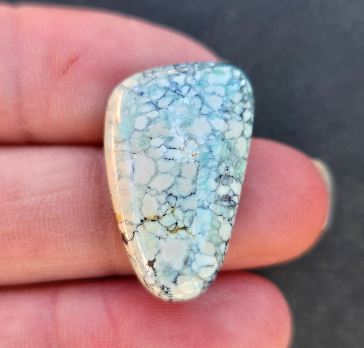 Vista Grande Variscite Cabochon
