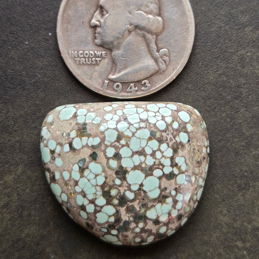 Turtleback Variscite Cabochon
