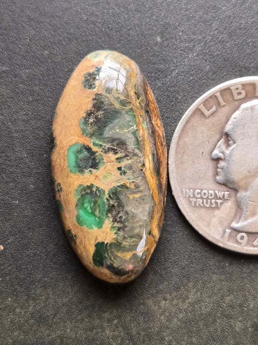 Damele Variscite Cabochon