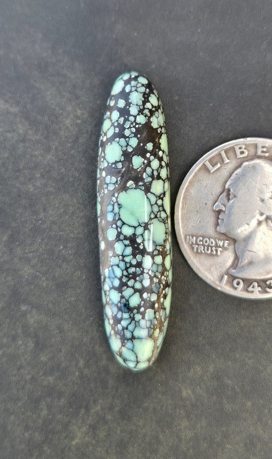 Desert Bloom Variscite Cabochon