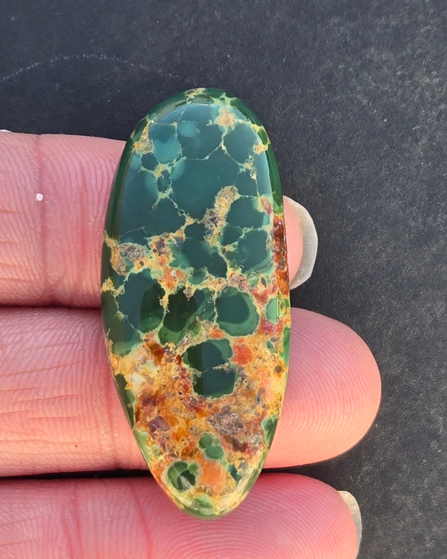 Golden Phoenix Turquoise (Hardy Pit) Cabochon