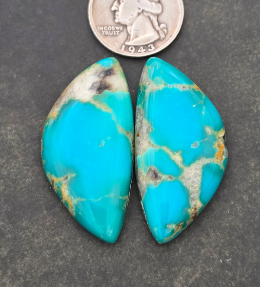 AAA Kingman Polychrome Hardy Pit Turquoise Cabochon set
