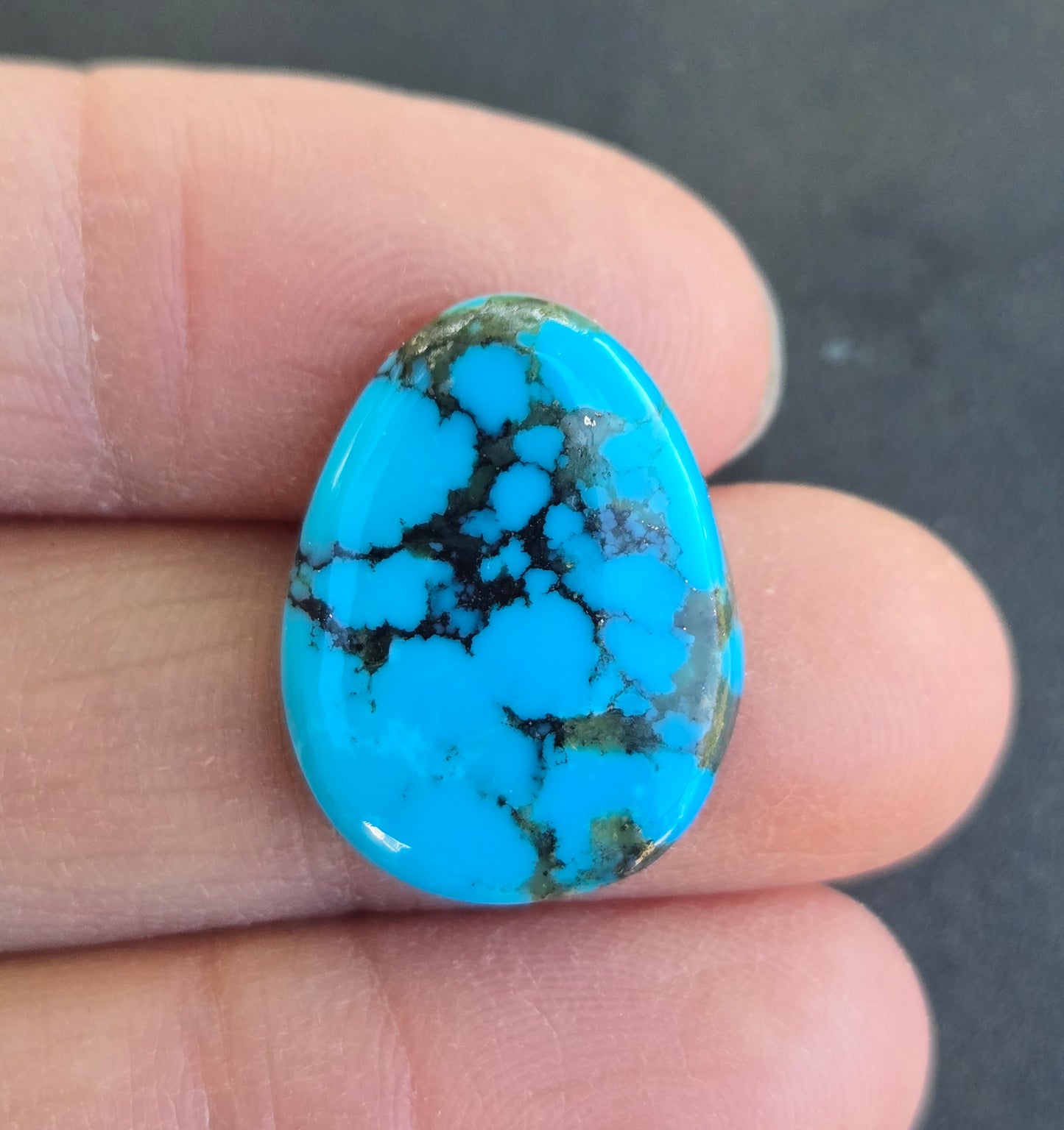 Ithaca Peak Turquoise Cabochon