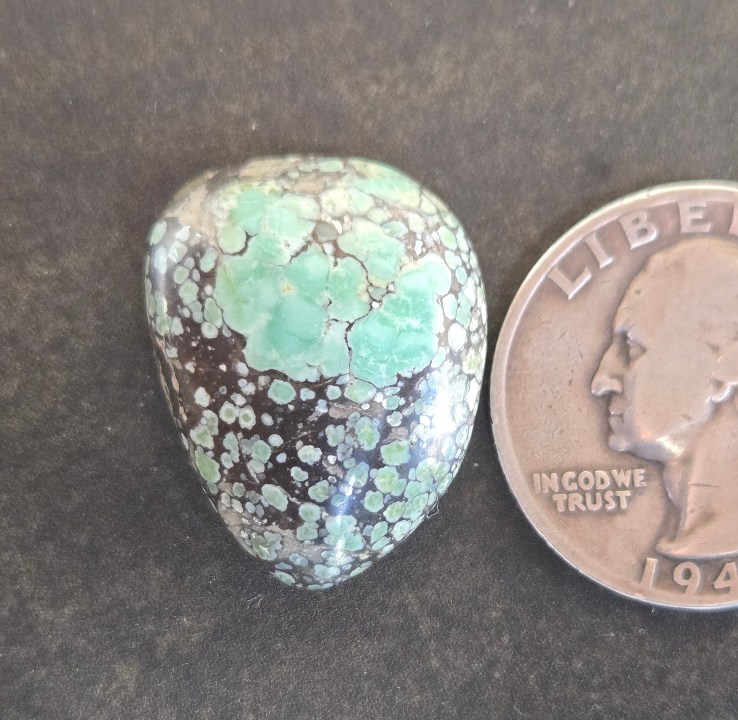 Turtleback Variscite Cabochon