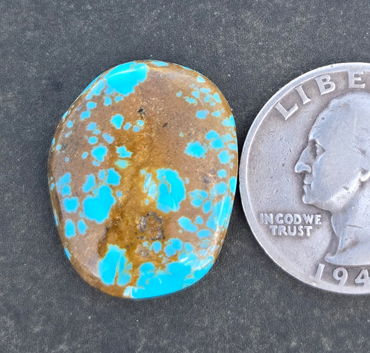 Alpine Village Turquoise Cabochon