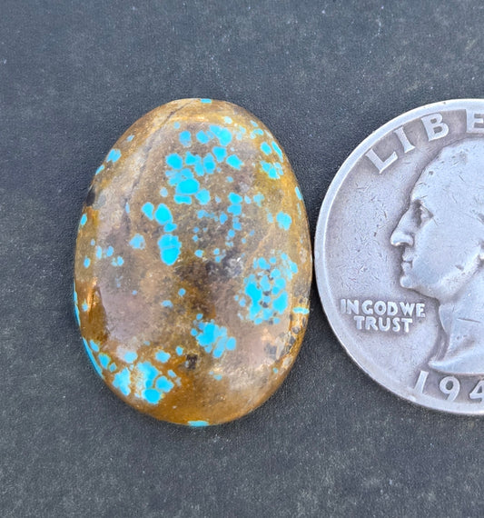 Alpine Village Turquoise Cabochon