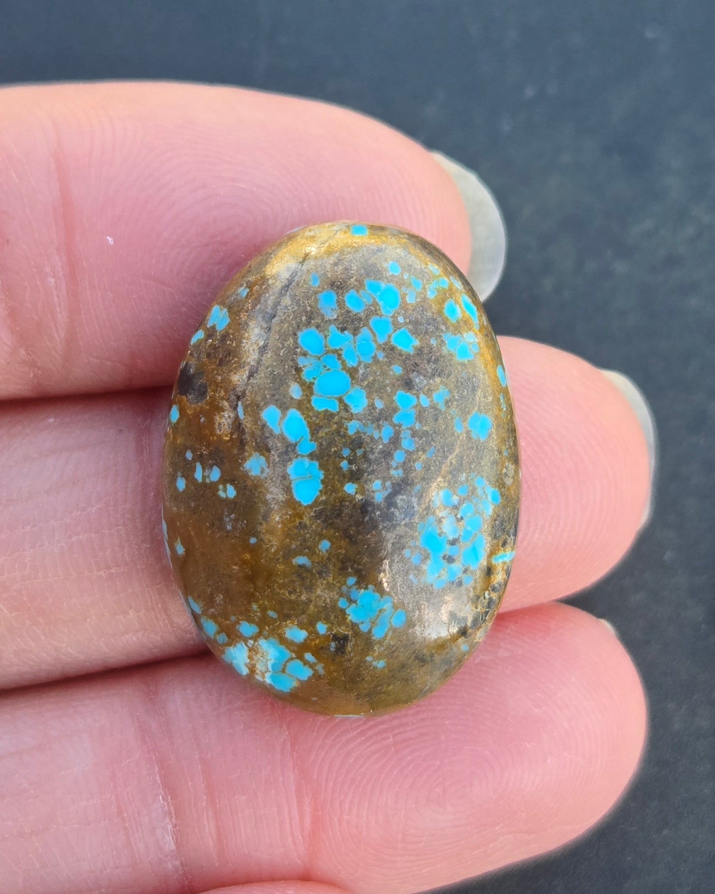Alpine Village Turquoise Cabochon