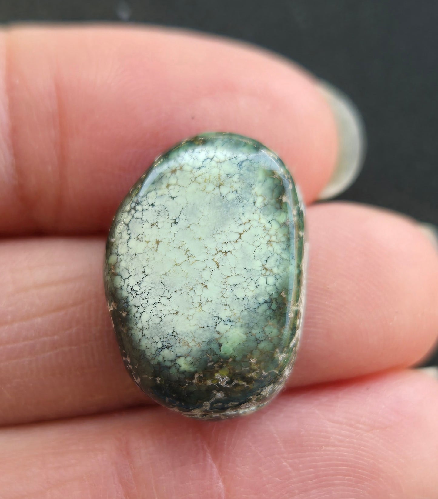Damele Variscite Cabochon