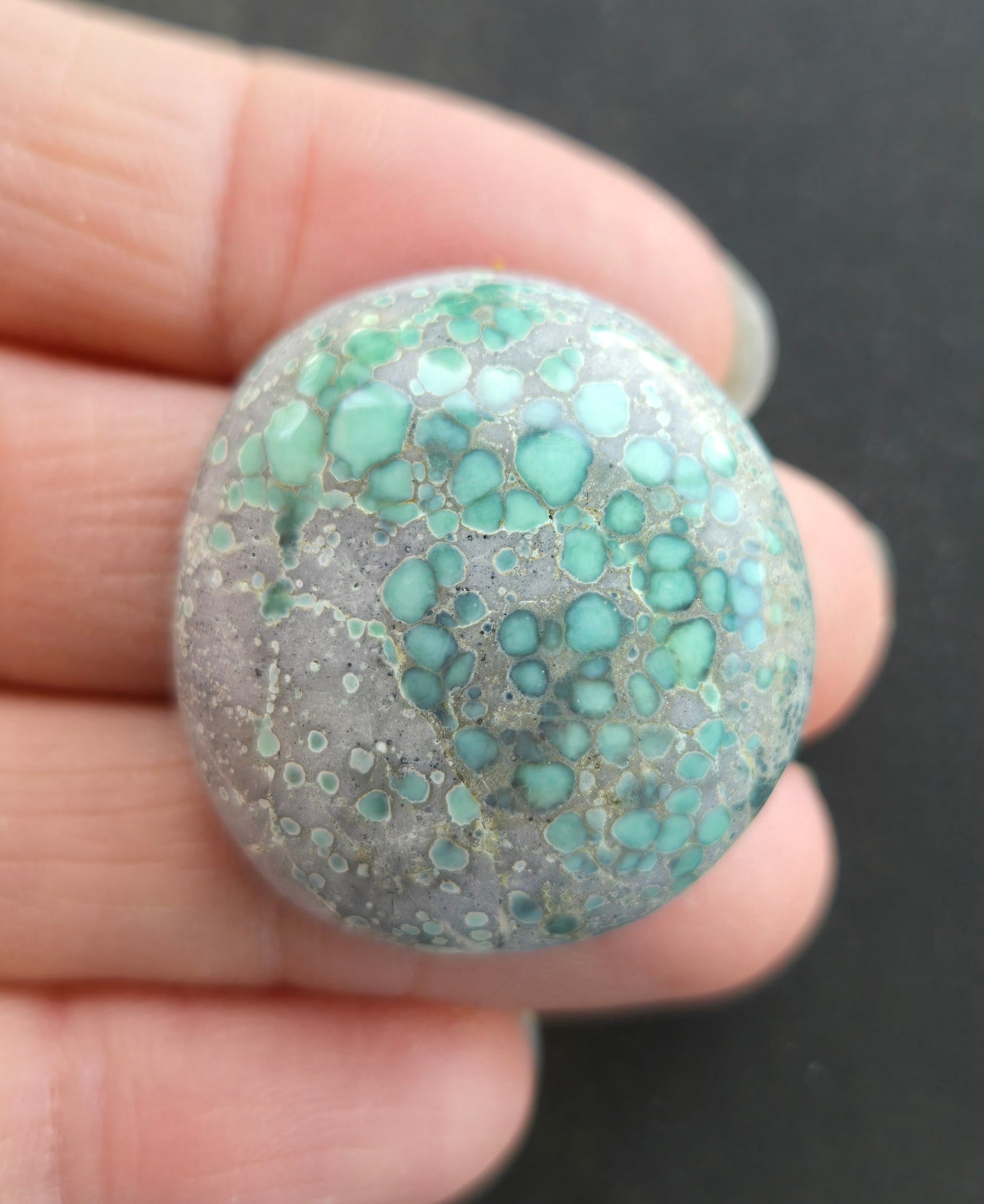 Blue Boy Variscite Cabochon