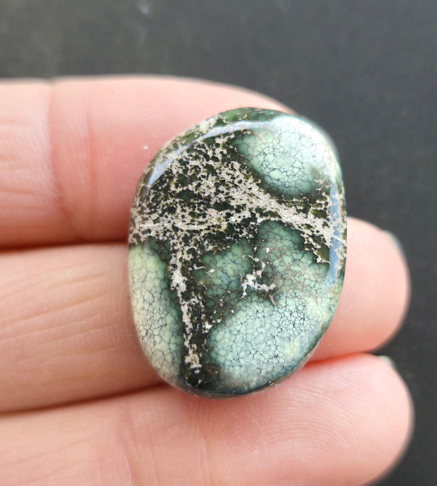 Damele Variscite Cabochon