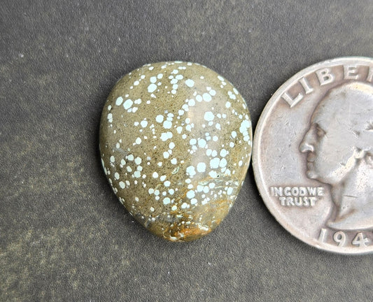 Turtleback Variscite Cabochon