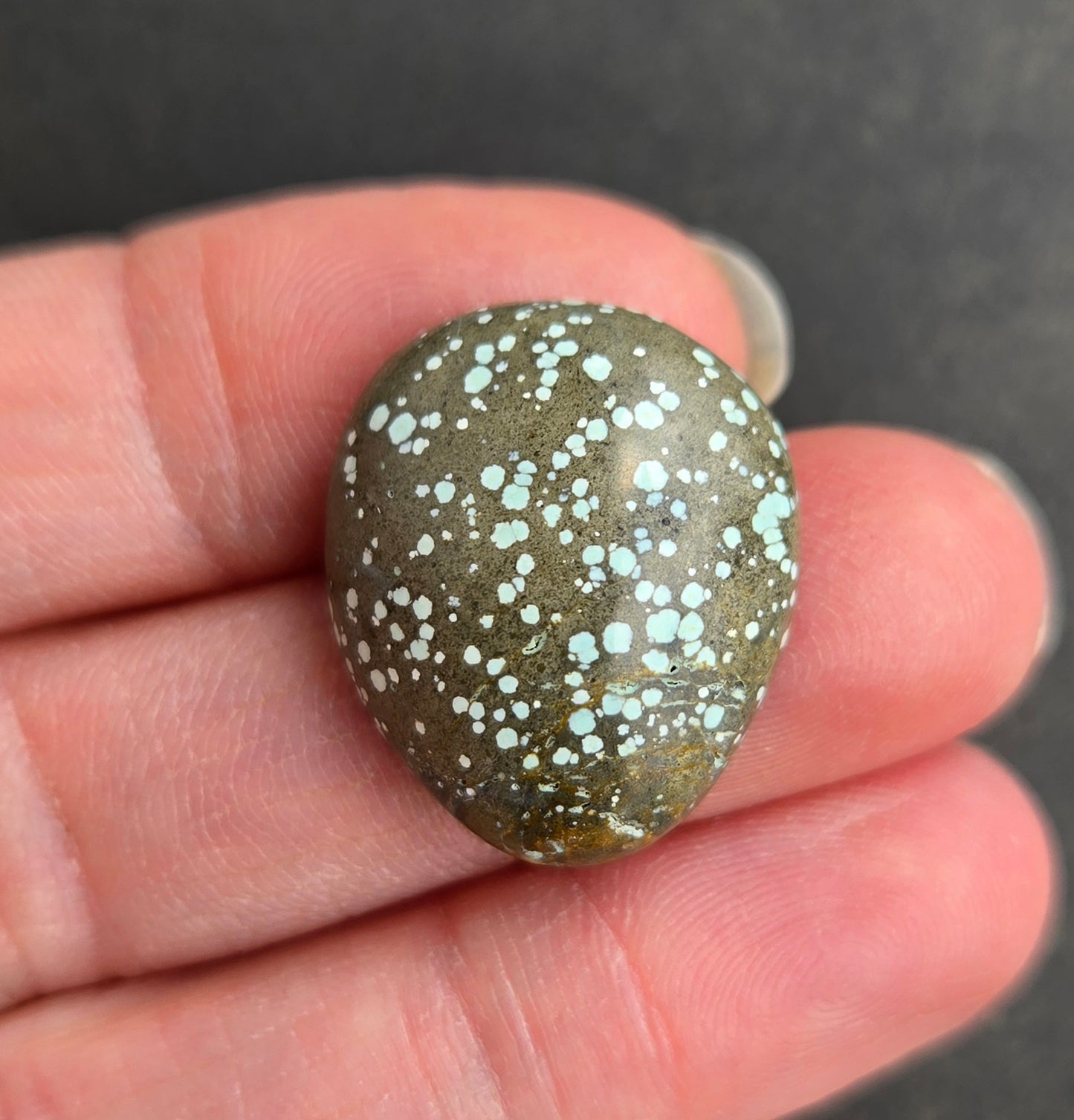 Turtleback Variscite Cabochon