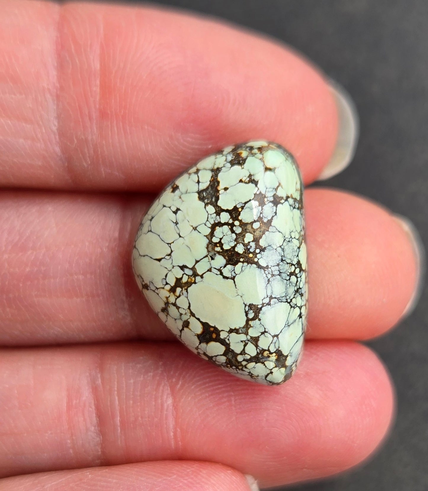 Desert Bloom Variscite Cabochon