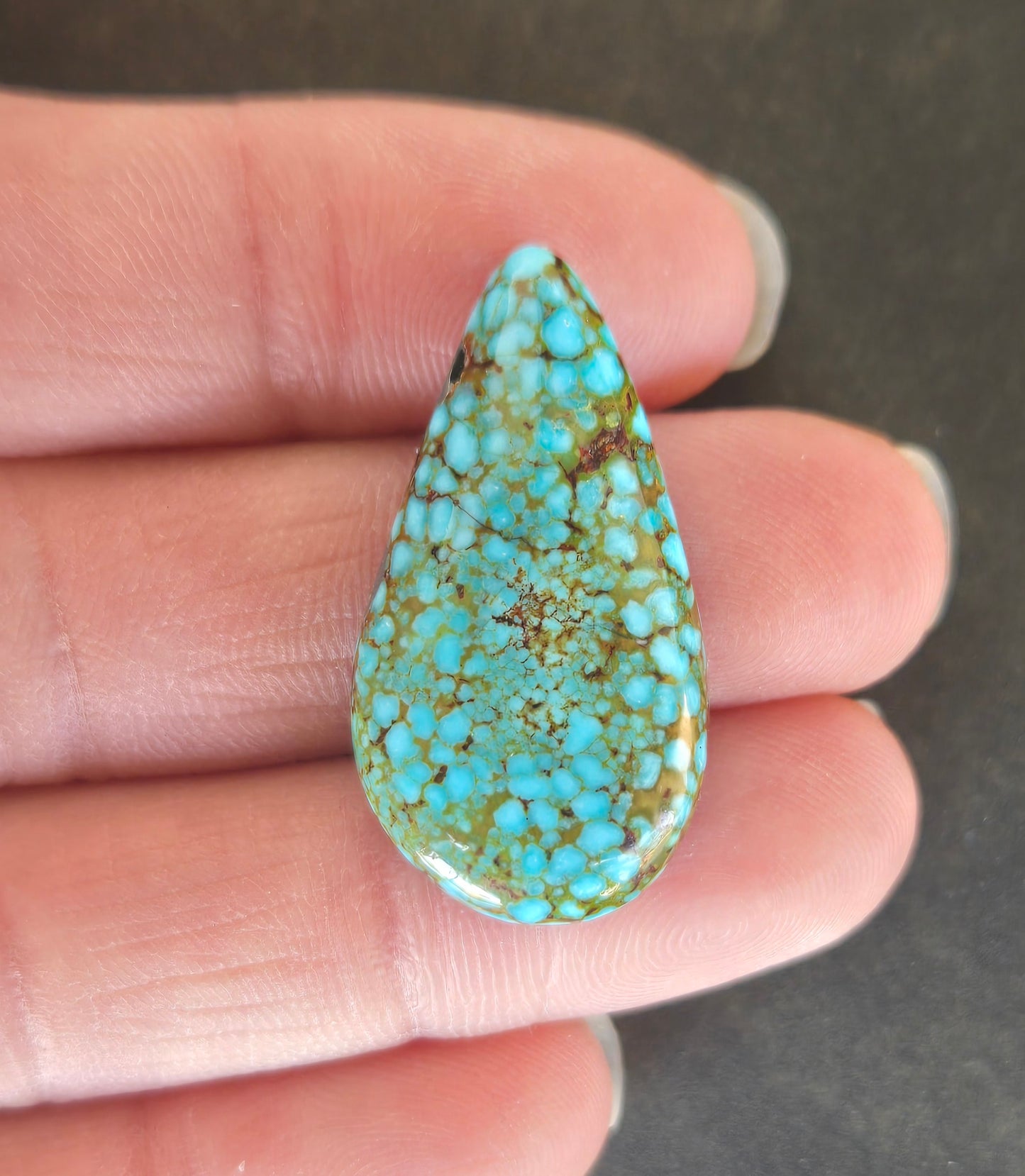 AAA Spiderweb Polychrome Kingman Turquoise Cabochon