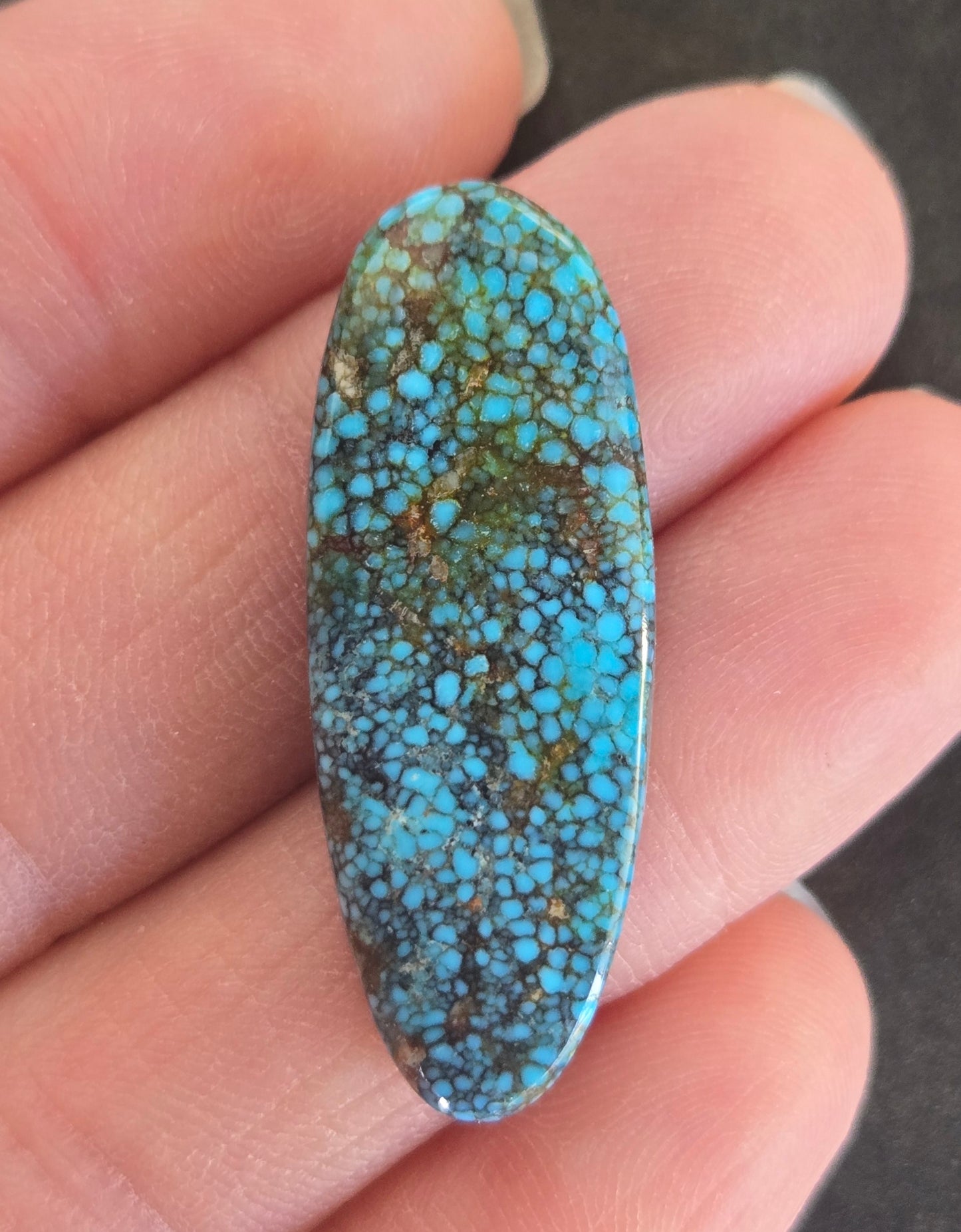 AAA Spiderweb Polychrome Kingman Turquoise Cabochon