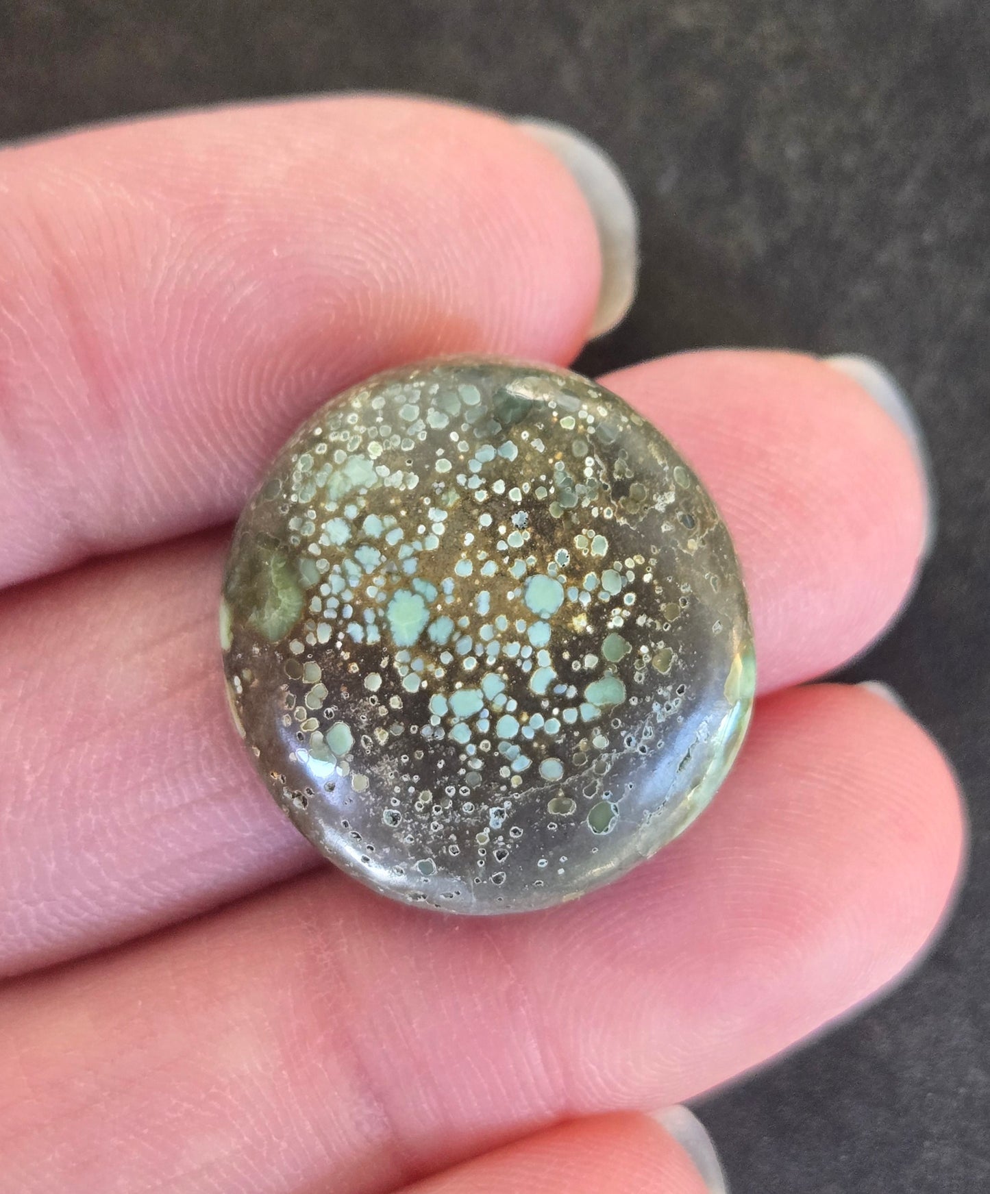 Turtleback Variscite Cabochon