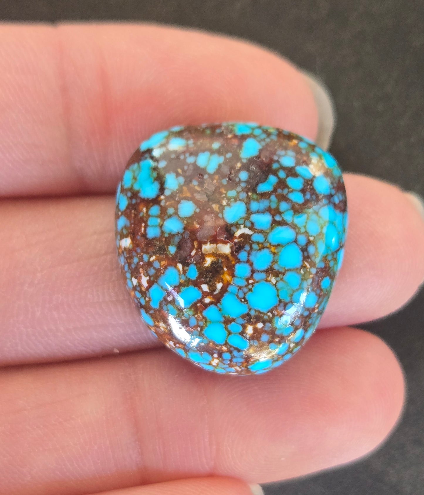AAA Spiderweb Polychrome Kingman Turquoise Cabochon