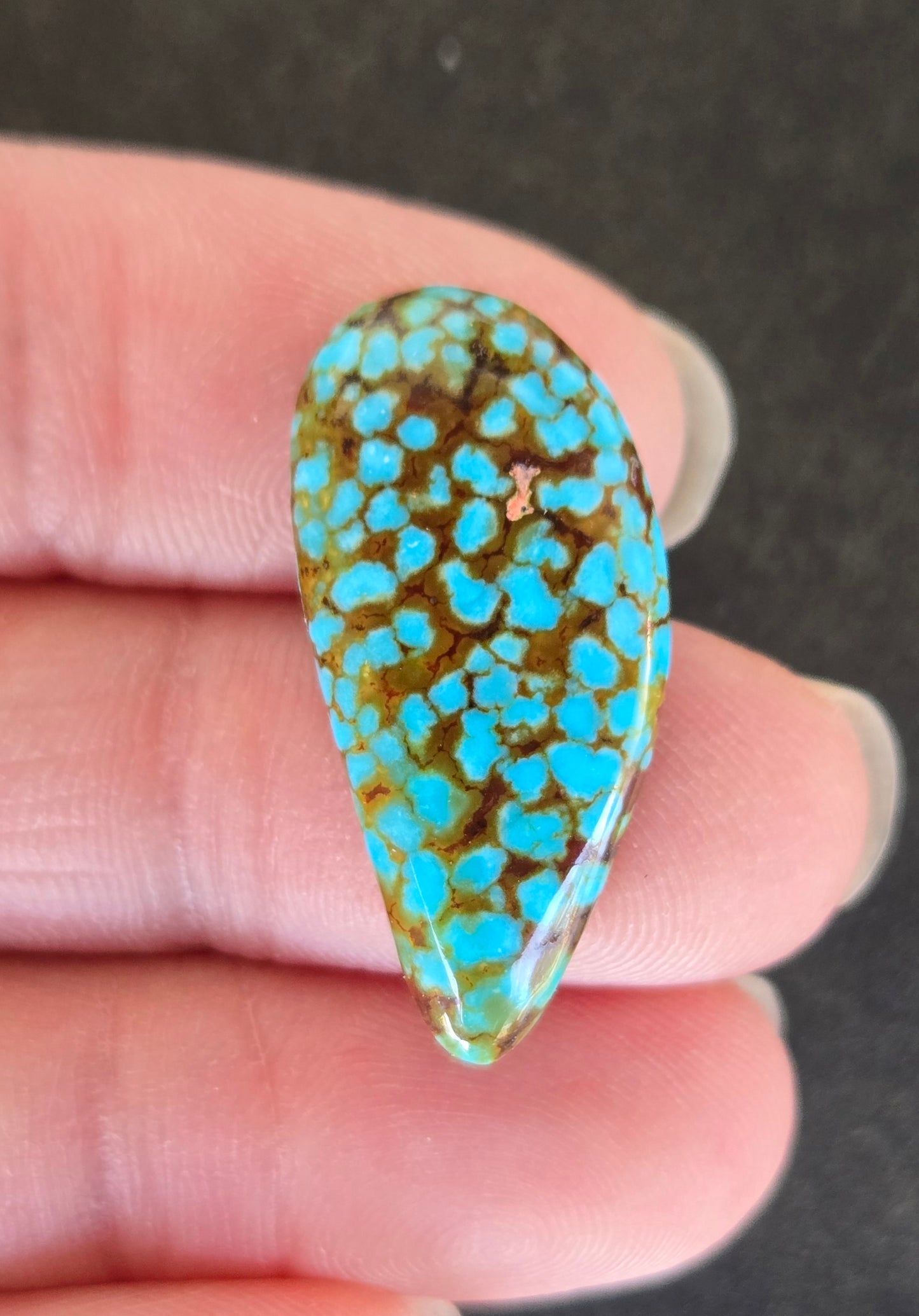 AAA Spiderweb Polychrome Kingman Turquoise Cabochon