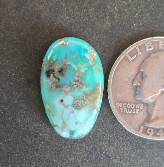 Alpine Village Turquoise Cabochon