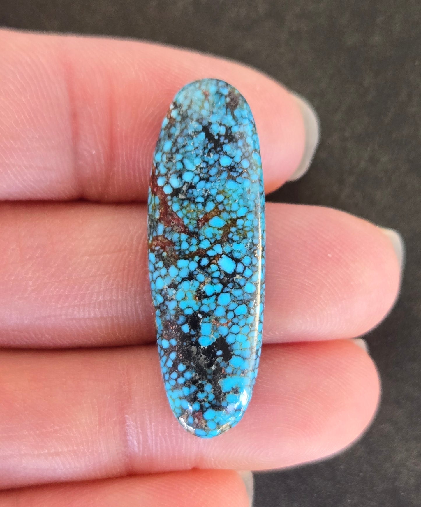 AAA Spiderweb Polychrome Kingman Turquoise Cabochon