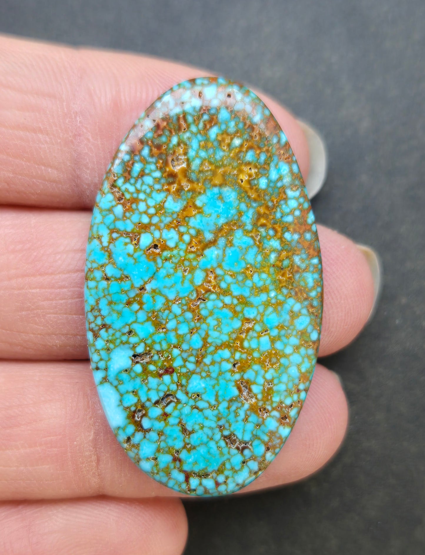 AAA Spiderweb Polychrome Kingman Turquoise Cabochon