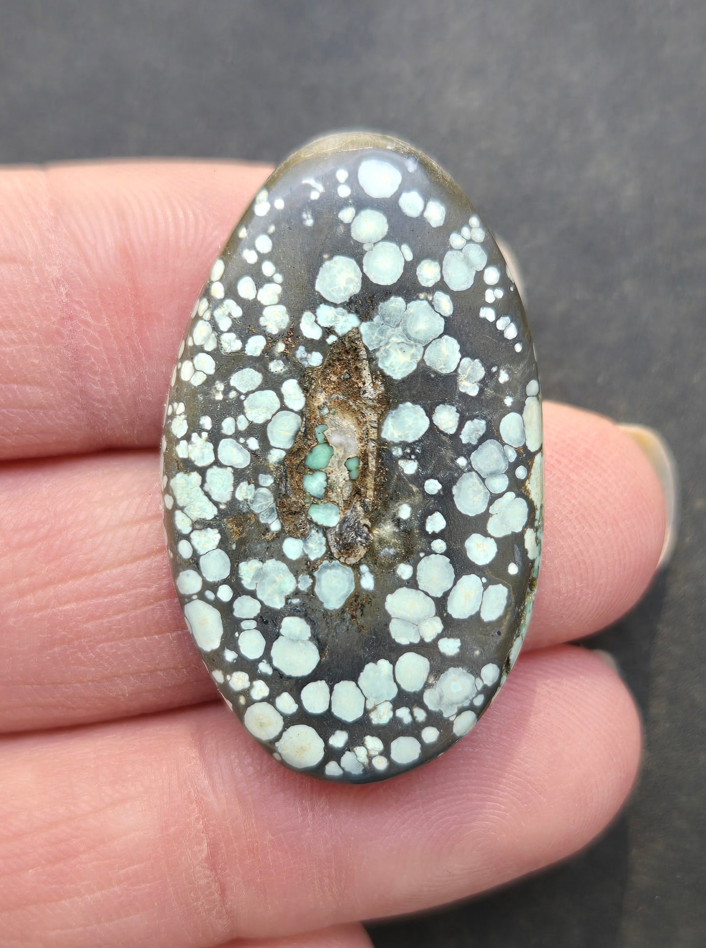 Turtleback Variscite Cabochon