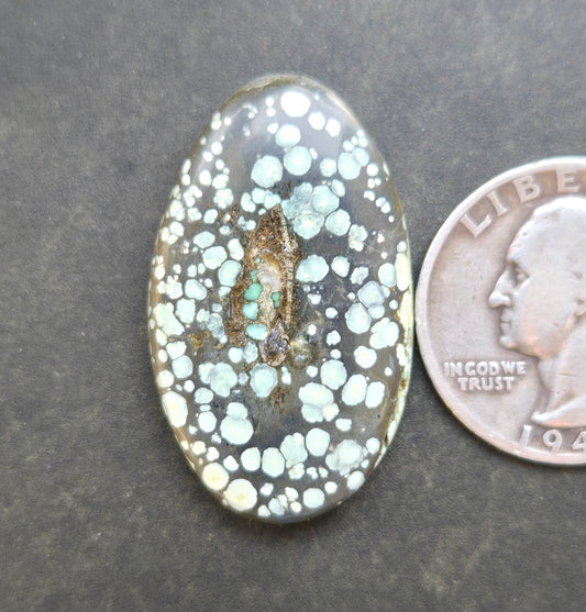 Turtleback Variscite Cabochon