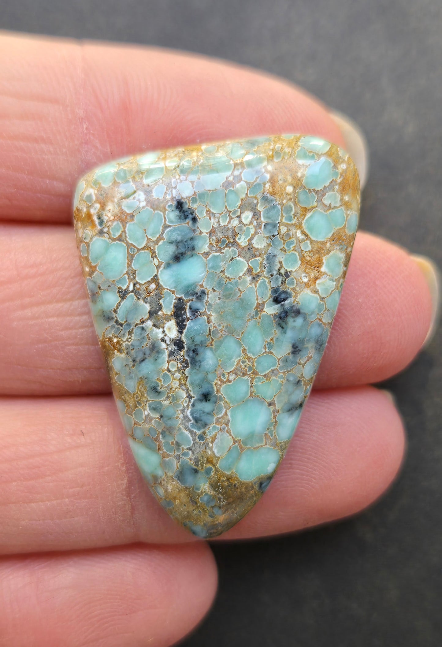 Desert Bloom Variscite Cabochon