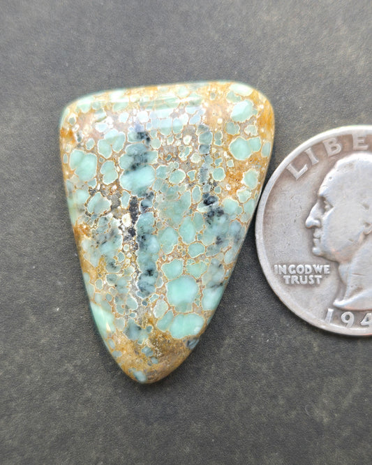 Desert Bloom Variscite Cabochon