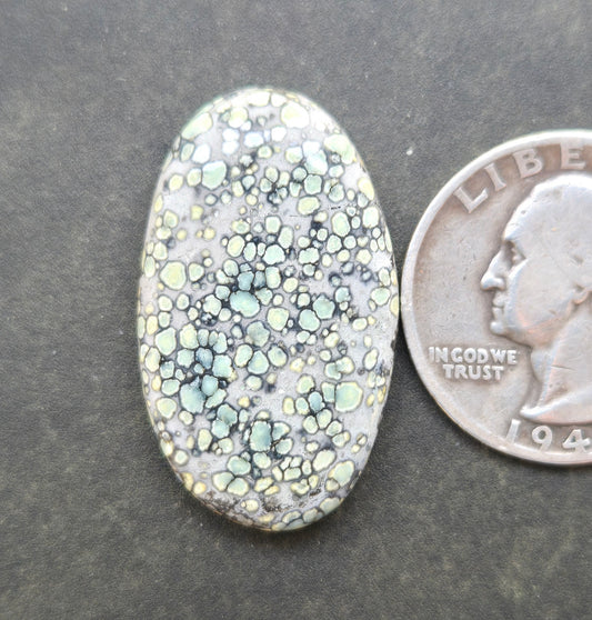 Desert Bloom Variscite Cabochon