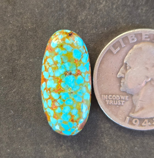 AAA Spiderweb Polychrome Kingman Turquoise Cabochon