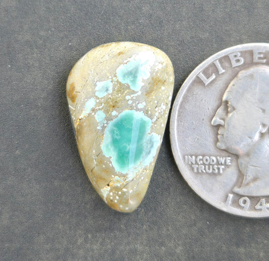 Turtleback Variscite Cabochon