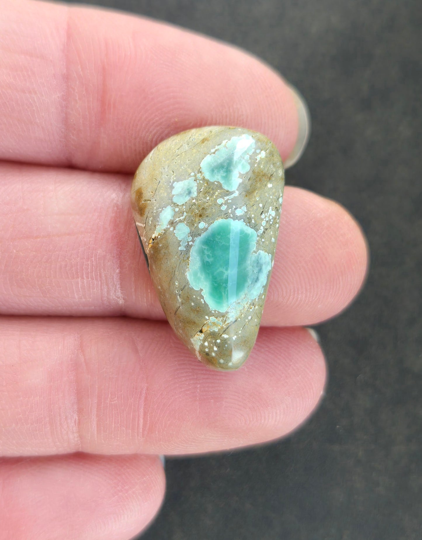 Turtleback Variscite Cabochon